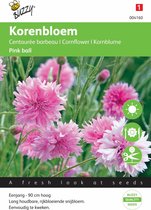 Buzzy® Centaurea cyanus Pink Ball - Korenbloem