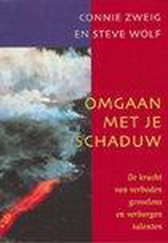 Cover van het boek 'Omgaan met je schaduw'