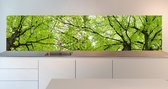 Keuken achterwand: bladerdak 305 x 70 cm