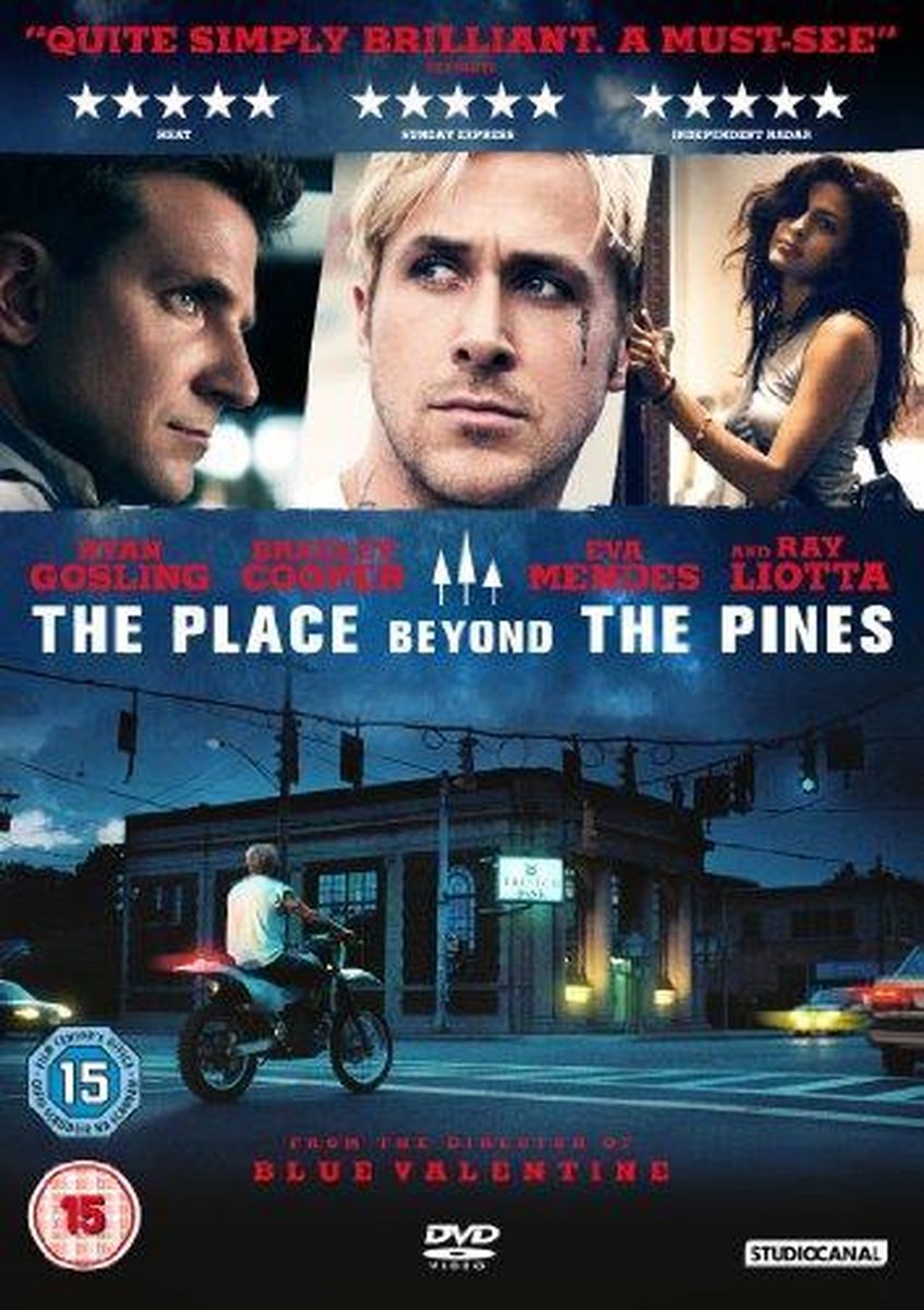 Place Beyond The Pines (Import)