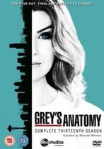 Grey's Anatomy S13