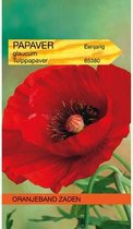 Papaver, Tulppapaver