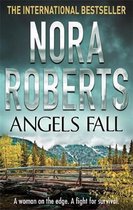 Omslag Angels Fall
