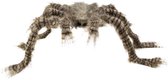 12 stuks: Harige spin bruin-zwart-grijs - 50x70cm