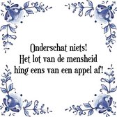 Tegeltje met Spreuk (Tegeltjeswijsheid): Onderschat niets! Het lot van de mensheid hing eens van een appel af! + Kado verpakking & Plakhanger