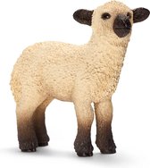 Shropshire Lam