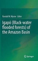 Igapo Black water flooded forests of the Amazon Basin