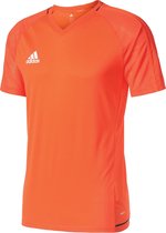 Adidas Performance Trui - energy s17/collegiate navy/white - M