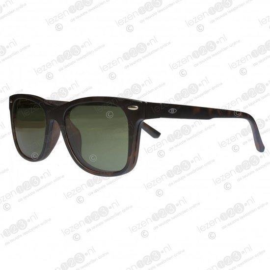 Icon Eyewear TTB310 Premium Clip-On (zonne)Leesbril +2.50 - Tortoise |  bol.com