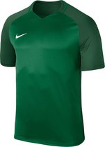 Nike Dry Team Trophy III Sportshirt Heren - groen
