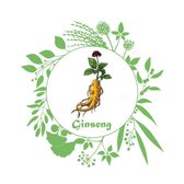 LE GINSENG ET SES VERTUS