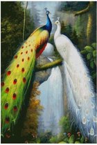 Diamond painting kit Peacocks / Pauwen 50x75