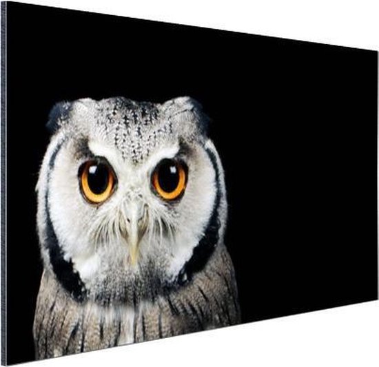 Gros plan chouette Aluminium 90x60 cm - Tirage photo sur aluminium (décoration murale métal)