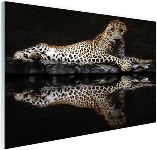 Luipaard bij het water Glas 30x20 cm - klein - print op (Plexiglas... | bol.com