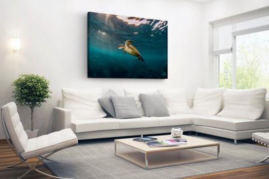 Tortue en eau claire sur toile 80x60 cm - Tirage photo sur toile (Décoration murale salon / chambre) / Peintures sur toile Animaux