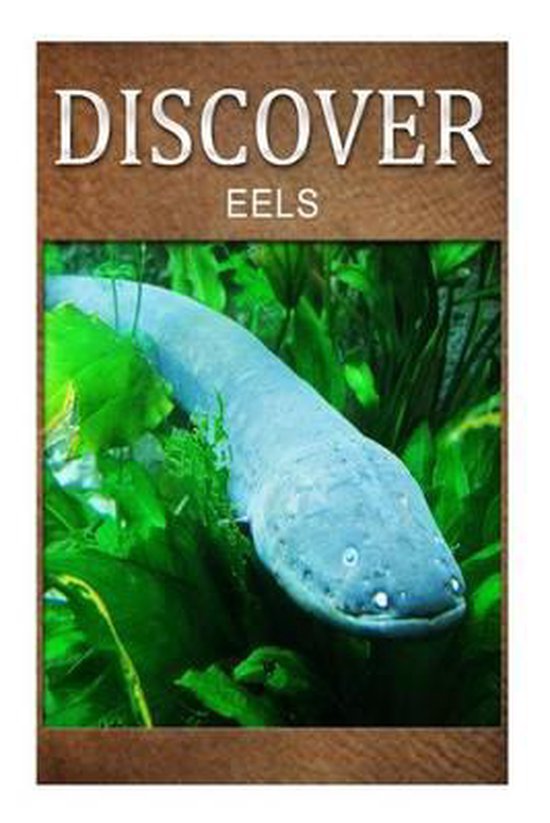 Eels - Discover - cover