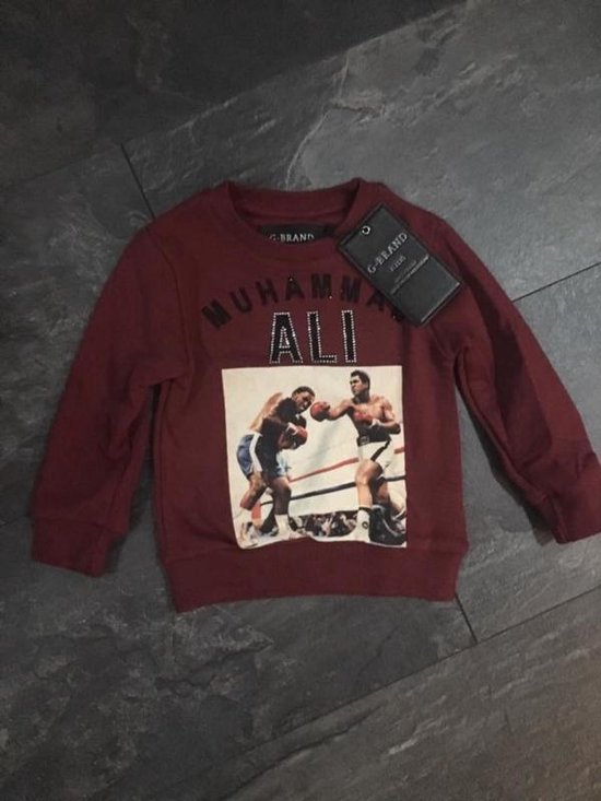 G-Brand sweater 92/98