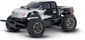 Carrera Ford F-150 Raptor, b/w - Bestuurbare auto