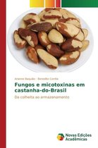 Fungos e micotoxinas em castanha-do-Brasil