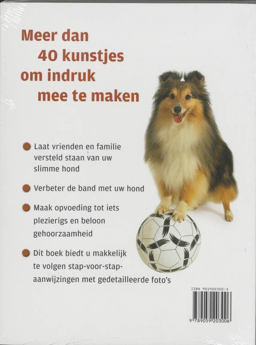 Hondenspelletjes - back cover