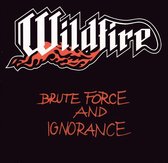 Brute Force & Ignorance