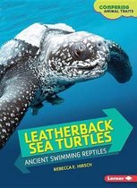 Leather Back Sea Turtles