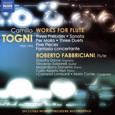 Various Artists Roberto Fabbriciani - Works For Flute (CD)