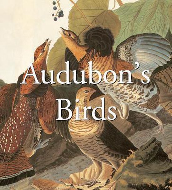 Audubon's Birds (Mega Squares) - cover