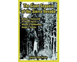 The Giant Sequoia of the Sierra Nevada