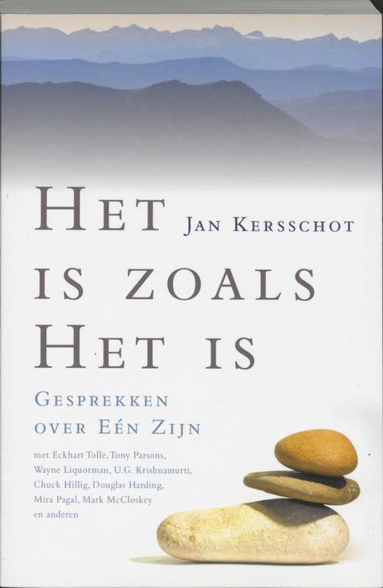 Boekomslag met tekst 'Het is zoals het is' en gestapelde stenen.