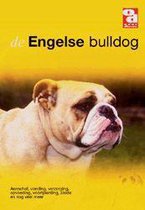 Engelse Bulldog