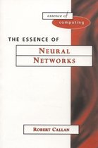 The Essence of Neural Networks