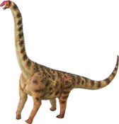 Collecta Prehistorie: Argentinosaurus