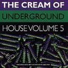 Cream Of Underground House Vol. 5