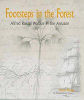 Footsteps in the Forest