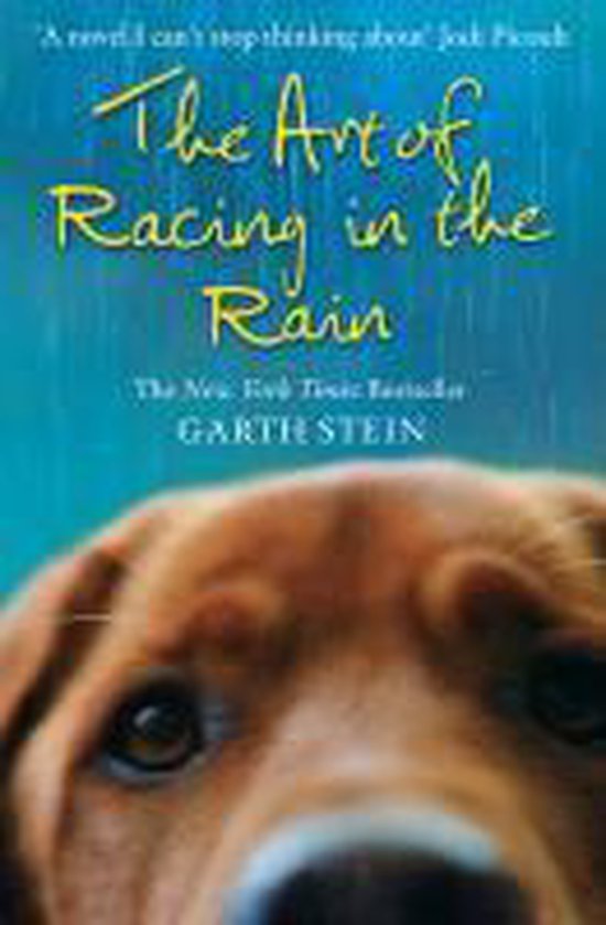 Art Of Racing In Rain - cover