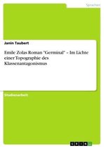 Emile Zolas Roman 'Germinal' - Im Lichte einer Topographie des Klassenantagonismus