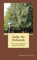 Under the Redwoods