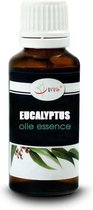 Eucalyptus olie essence 30ml