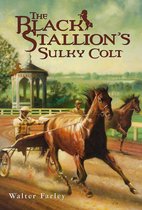 Black Stallion - The Black Stallion's Sulky Colt