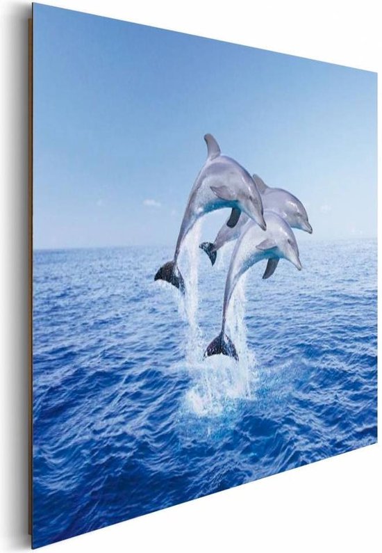 REINDERS Dolfijnen 90x60cm | bol.com