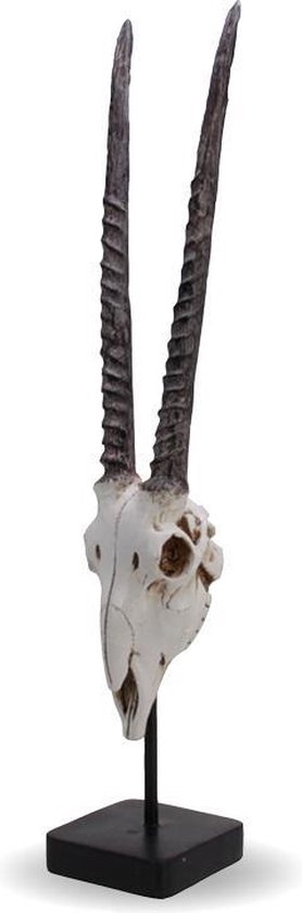 animal skull decoration