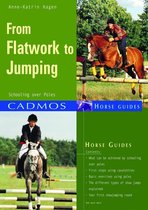 Horses - From Flatwork to Jumping
