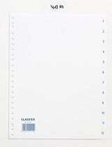 Class'ex tabbladen set 1-12 23-gaatsperforatie PP wit
