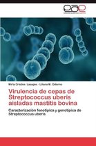 Virulencia de Cepas de Streptococcus Uberis Aisladas Mastitis Bovina