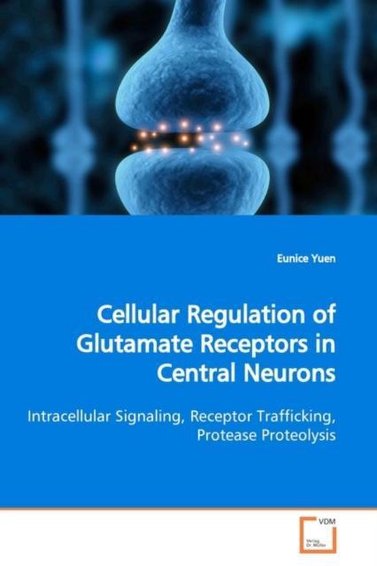 Cellular Regulation of Glutamate Receptors in Central Neurons ...