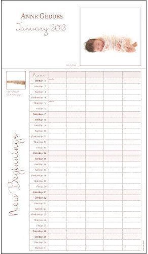 Cover van het boek 'Anne Geddes Family planner Baby in Qualup Bell 2012'