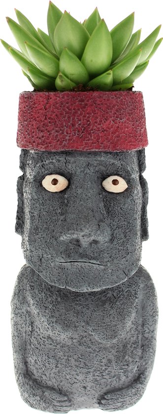 Moai bloempot