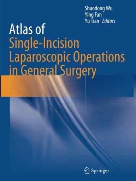 Atlas of Single-Incision Laparoscopic Operations in General Surgery ...