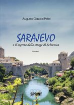 Sarajevo e il segreto della strage di Sebrenica